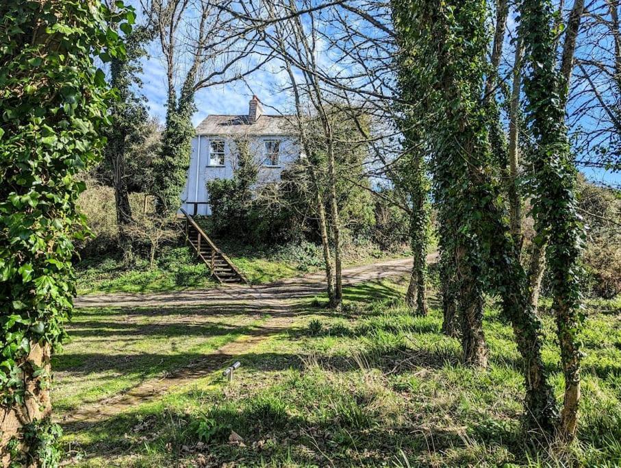 Romantic Secluded Hideaway Cottage In Cornwall 特鲁罗 外观 照片